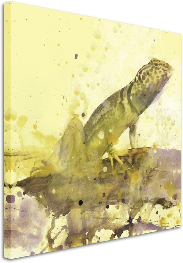 Lizard_60x60cm Splash Art Paul Sinus Aquarell, Gemälde, Kunstbild auf Leinwand