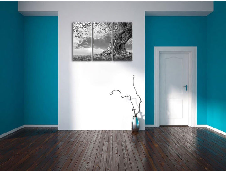 Pixxprint Verwurzelter starker Baum im Sonnenuntergang Kunst B&W 3-Teiler Leinwandbild 120x80 Bild a
