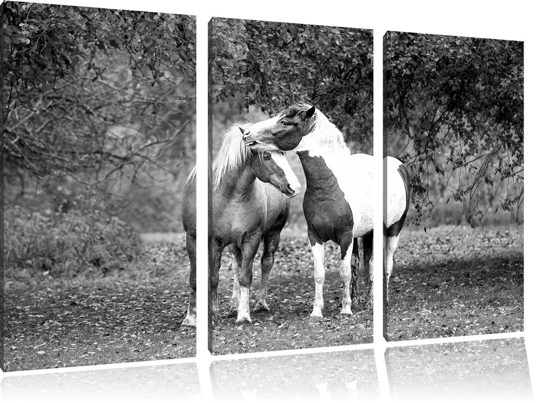 Pixxprint Zwei schmusende Pferde Kunst B&W als Leinwandbild/Grösse: 3 Teilig (120x80) cm/Wandbild/Ku
