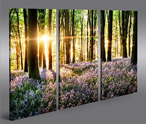 islandburner Bild Bilder auf Leinwand Lavendel im Wald 3p XXL Poster Leinwandbild Wandbild Dekoartik