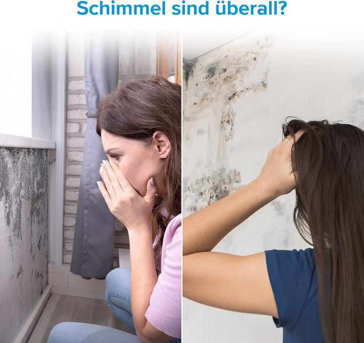 LEVOIT Luftreiniger H13 HEPA Luftfilter für Allergiker, Air Purifier gegen 99,97% von Schimmel Staub