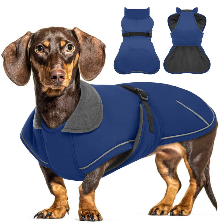 Hundemantel Dackel S, Winddichter Wasserdichter Wintermantel Für Dackel Hunde, Hundejacke Für Grosse