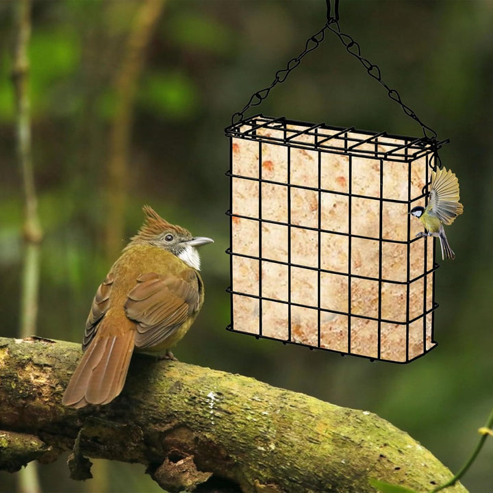 2 Stück Vogel Nistmaterial Halter Set,Aufhängen Vogelfutterstation,Futterstation für Wildvögel,Futte