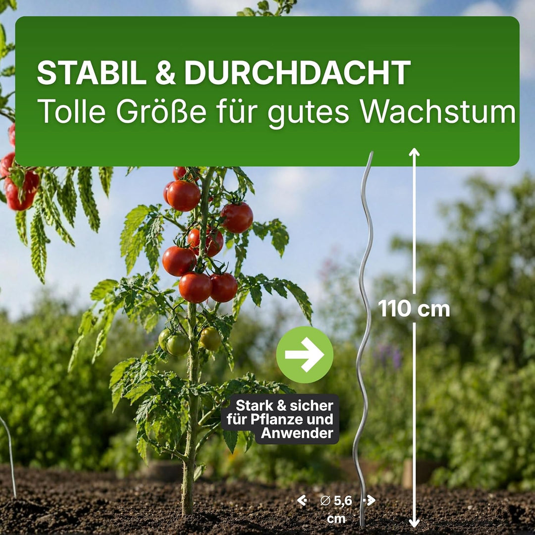 Gartenwelt Riegelsberger Tomatenspiralen Höhe 110 cm aus Stahl Ø 5,6 mm Tomatenspiralstäbe Ranke Pfl