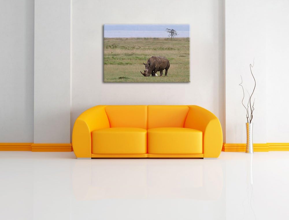 grosses Nashorn beim Fressen Leinwand, XXL riesige Bilder fertig gerahmt mit Keilrahmen, Kunstdruck