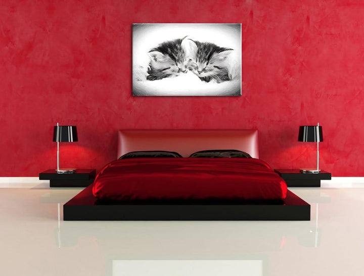 Katzenbabys Kohle Effekt, Format: 100x70 auf Leinwand, XXL riesige Bilder fertig gerahmt mit Keilrah