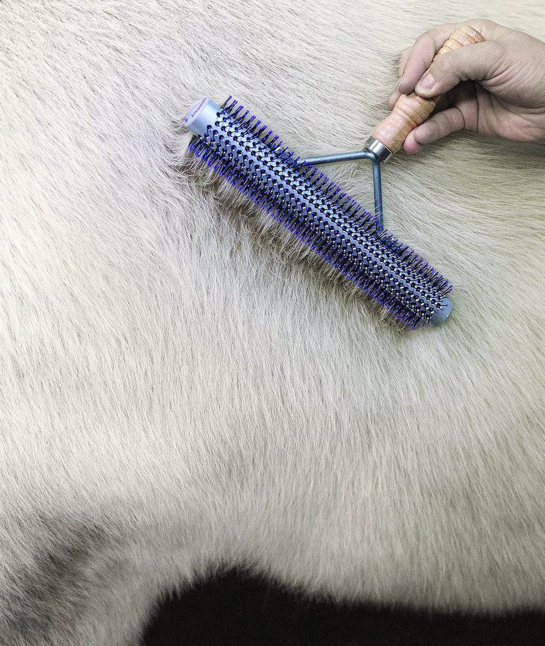 Weaver Leder 69–6013 Vieh Vielzahl Bürste, Silber/lila Silber/Lila Einheitsgrösse, Silber/Lila Einhe