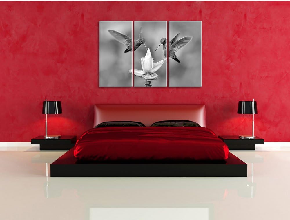 Pixxprint Kolibris in den Tropen / 3-Teilig/Gesamtmass 120cm Leinwandbild bespannt auf Holzrahmen/Wa