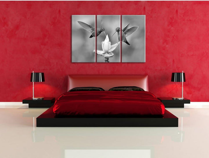 Pixxprint Kolibris in den Tropen / 3-Teilig/Gesamtmass 120cm Leinwandbild bespannt auf Holzrahmen/Wa