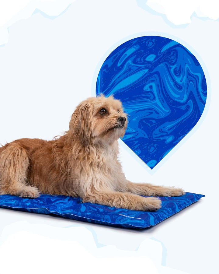 TrendPet Arctic Comfort - 20mm Premium Kühlmatte für Hunde, Hundekühlmatte, selbstkühlende Matte für