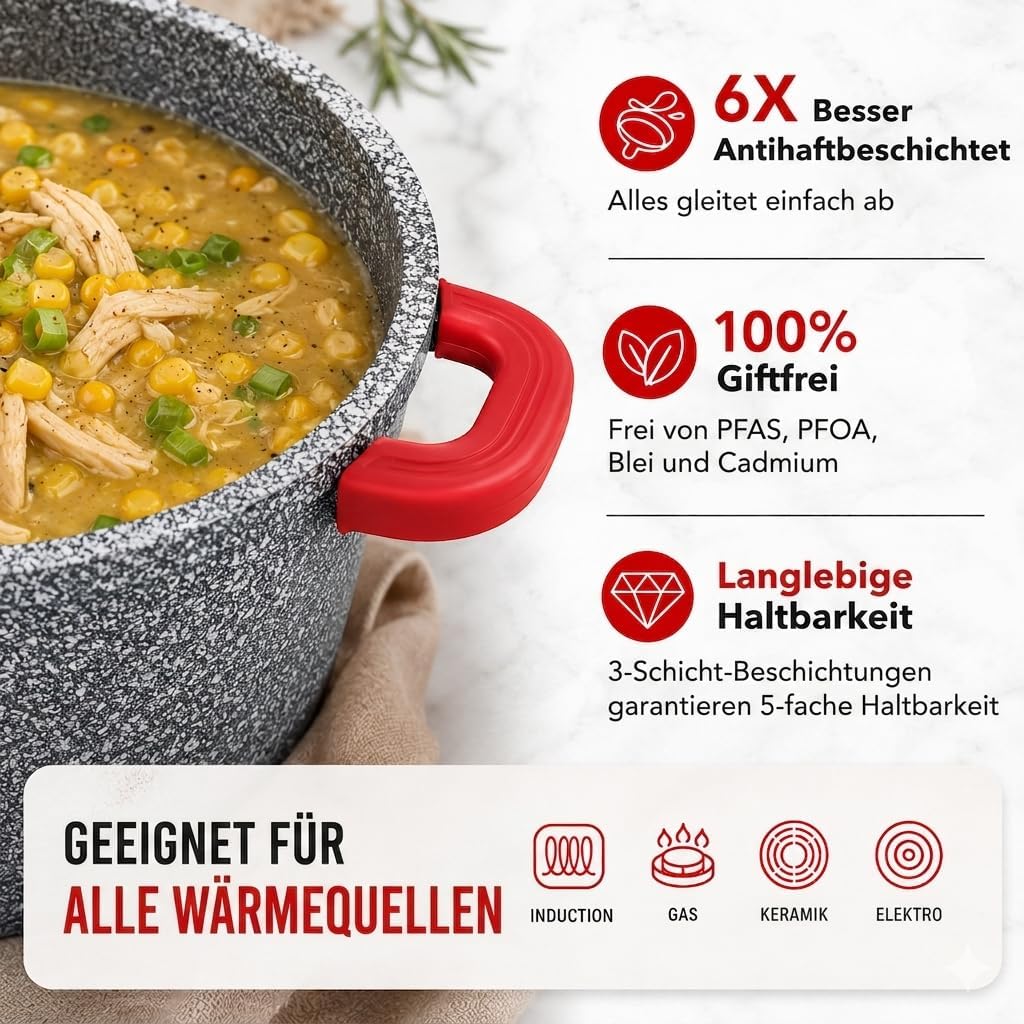 Royal Swiss® Suppentopf Ø24 cm – 6,2 L mit Glasdeckel – Edelstahl & Antihaftbeschichtung – Abnehmbar
