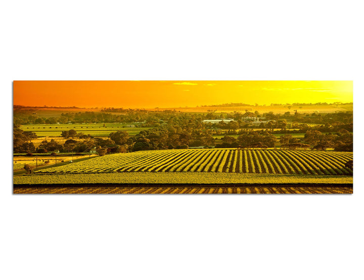 Paul Sinus Art Panoramabild auf Leinwand und Keilrahmen 150x50cm Australien Landschaft Sonnenunterga