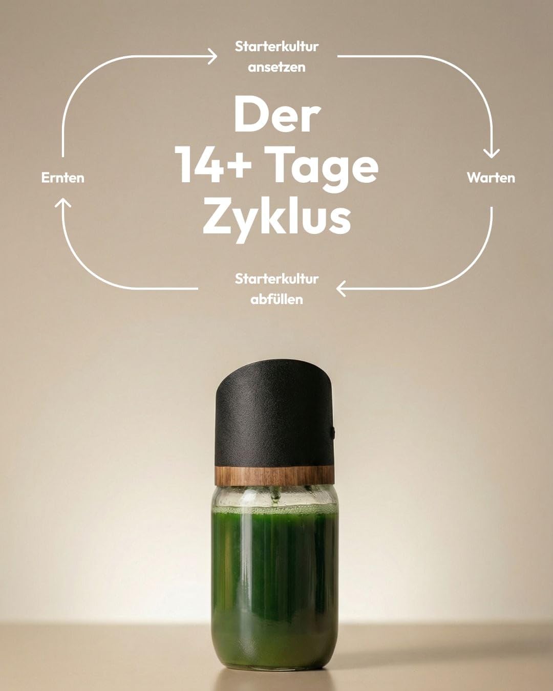 MySpirulina Anzucht-Starterset – Frische Spirulina selbst anbauen, vollautomatisches Home-System für