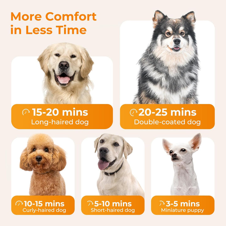 pecute Hundefön Hundetrockner, Haartrockner Blower mit Einstellbarer Temperatur & Geschwindigkeit, H