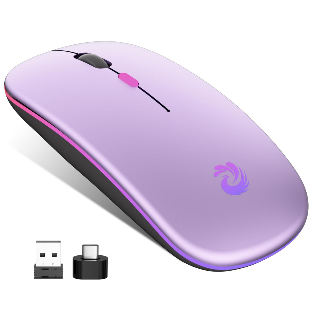 BQSS Maus Kabellos, 2,4 GHz mit USB-Empfänger, 1600 DPI Optical Tracking, Quiet Clicks, Wiederauflad