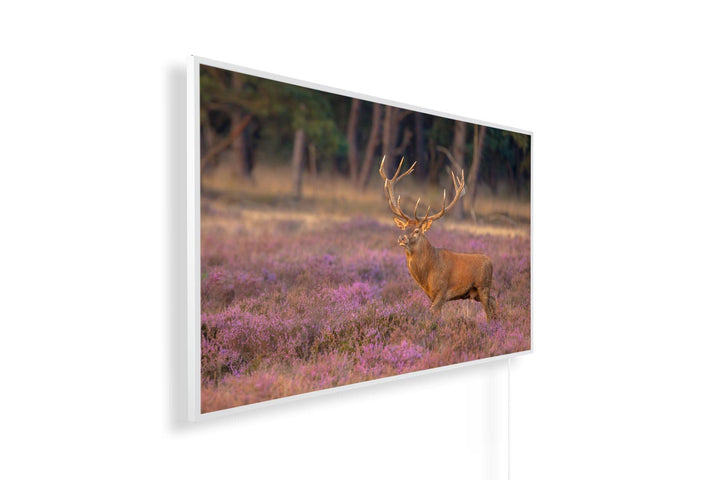 Infrarotheizung mit Bild – Herbst Bildmotive – TÜV/GS - 450 Watt Bildheizung - Weisser Rahmen (02. H