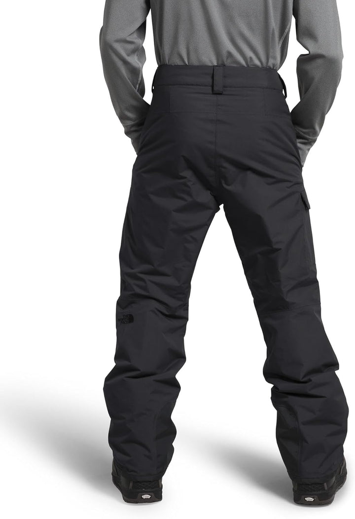 The North Face Herren Hose Freedom Insulated Pant S Asphaltgrau-npf