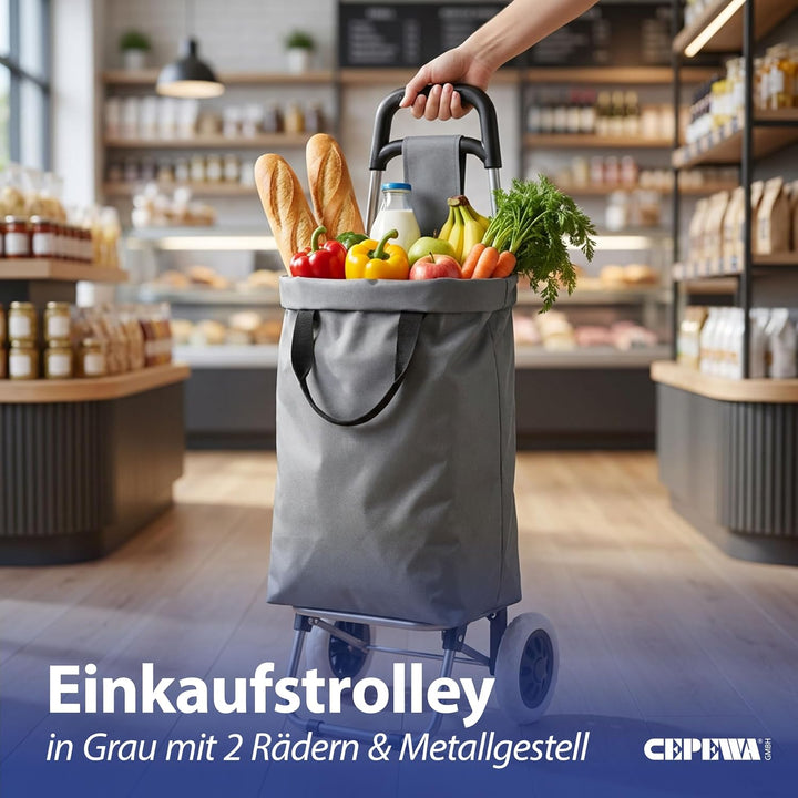Einkaufstrolley grau | Volumen 45L 40x92x20cm Polyester Metallgestell | Einkaufswagen auf Rollen | R