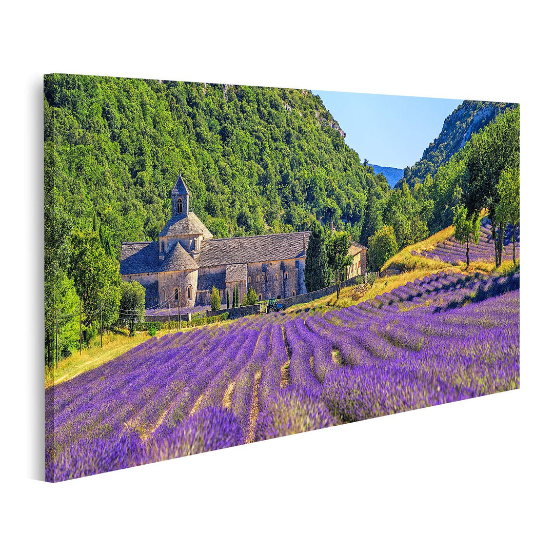islandburner Bild auf Leinwand Blühendes Lila Lavendelfeld In Der Abtei Senanque In Gordes Provence