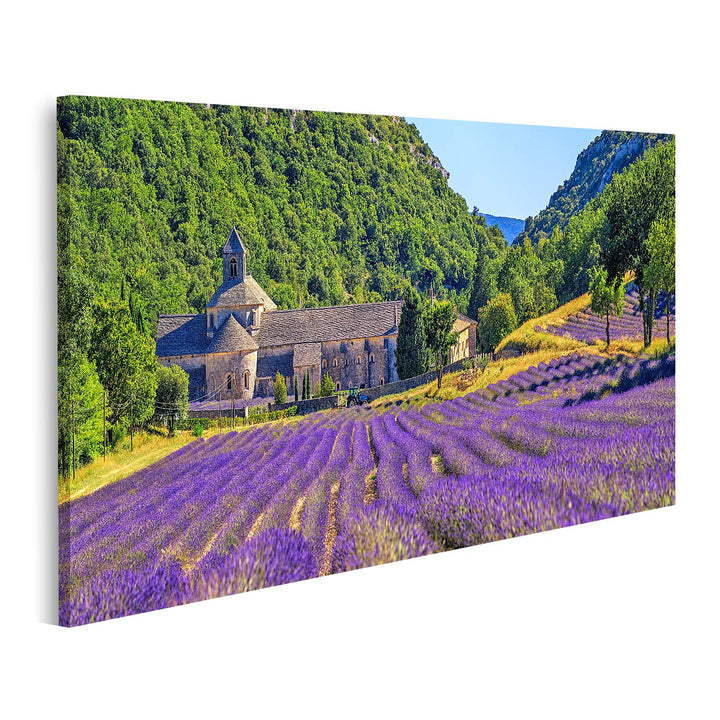 islandburner Bild auf Leinwand Blühendes Lila Lavendelfeld In Der Abtei Senanque In Gordes Provence