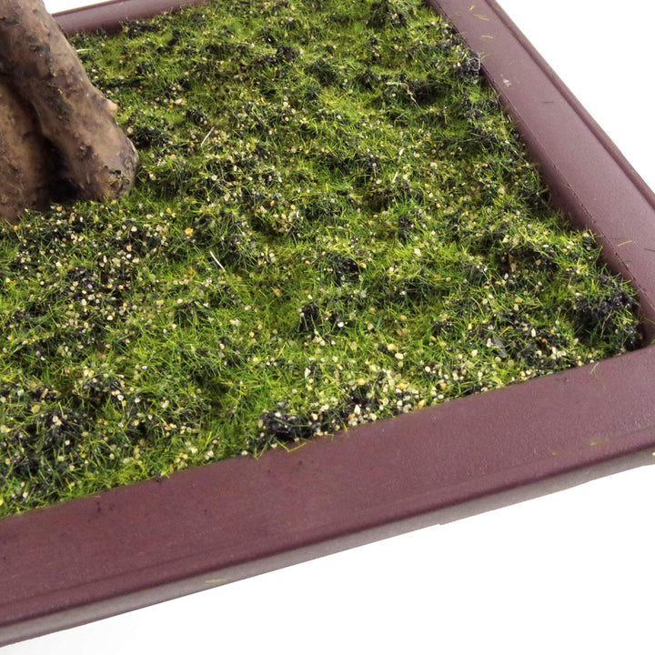 Leaf Künstlicher Kleiner Bonsai-Baum. 50 cm 50 Cm Ficus Abgerundeter Bonsai, 50 cm 50 Cm Ficus Abger