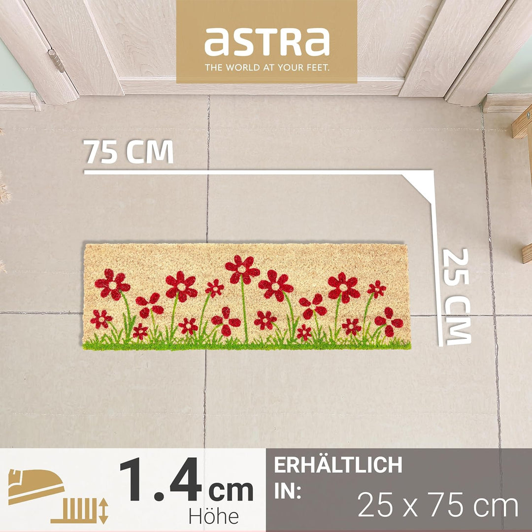 Astra Fussmatte innen beige Schmutzfänger rutschfest - Kokosmatte antibakteriell - Türmatte Set in G