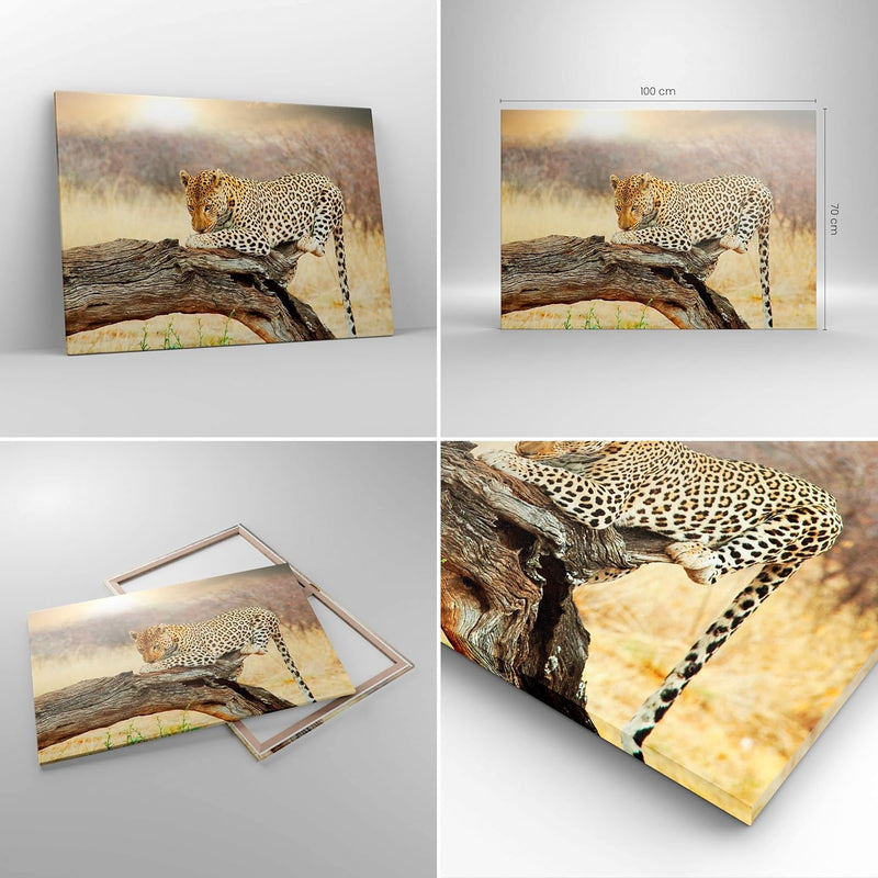 Bilder auf Leinwand 100x70cm Leinwandbild Afrika Leopard Katze Safari Gross Wanddeko Bild Schlafzimm