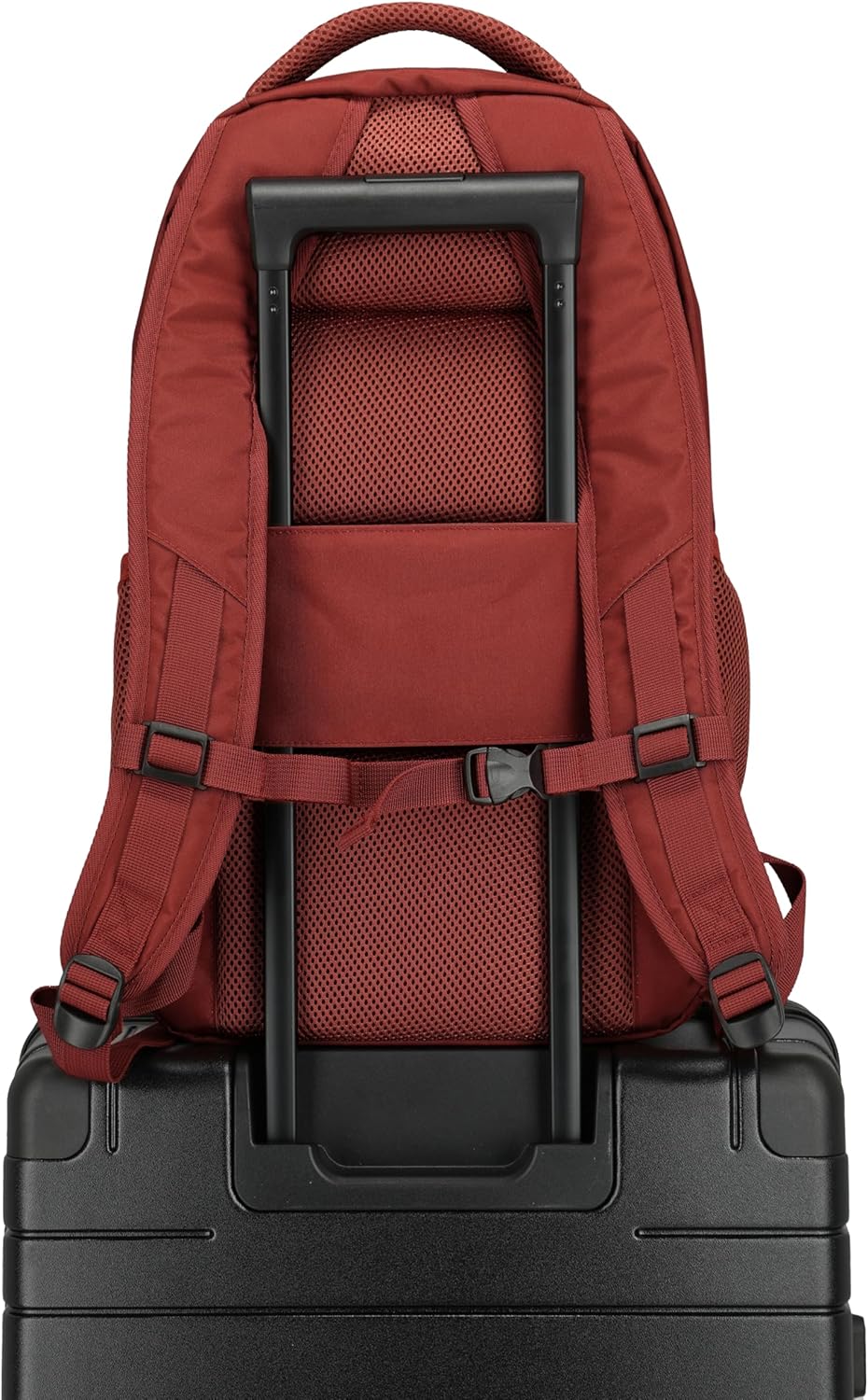 Travelite Handgepäck Rucksack, Laptop Rucksack 15,6 Zoll, BASICS, Daypack, Tagesrucksack mit vielen