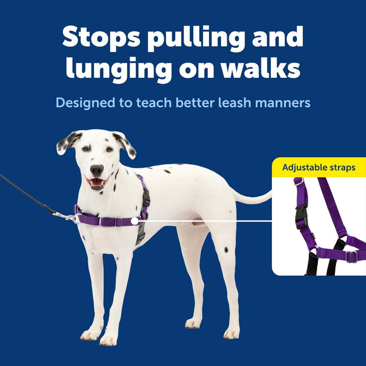 PetSafe Easy Walk Hundegeschirr. schwarz/silber Medium/Large, schwarz/silber Medium/Large