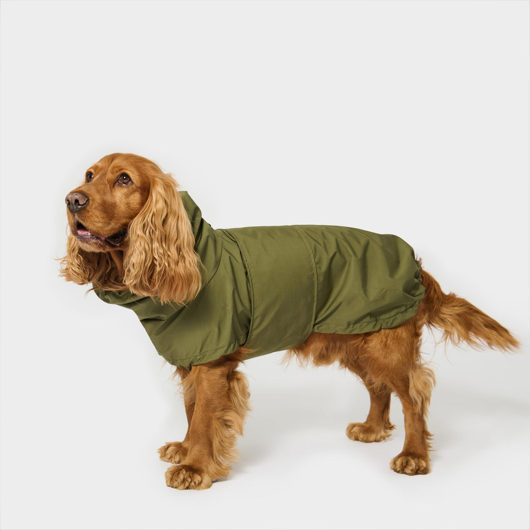 Oskar Hunderegenmantel | Wasserdicht mit Bauchschutz &amp; Geschirröffnung | Reflektierende Hunde-Regenj