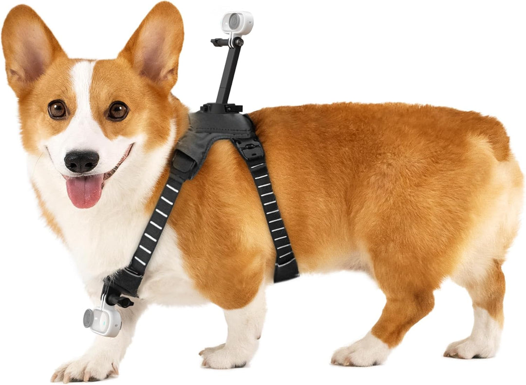 Insta360 Haustiergeschirr-Halterung Grösse S