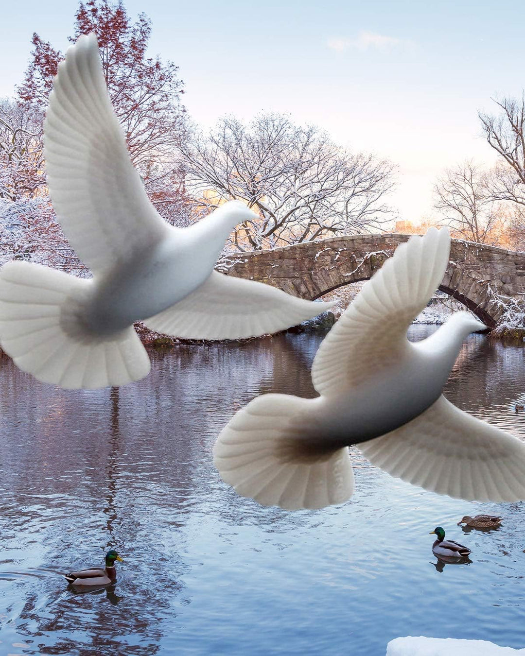 John Perry Christmas Turtle Doves Turteltauben Freundschafts Symbol Weihnachten Liebe 2 Stück Set vo