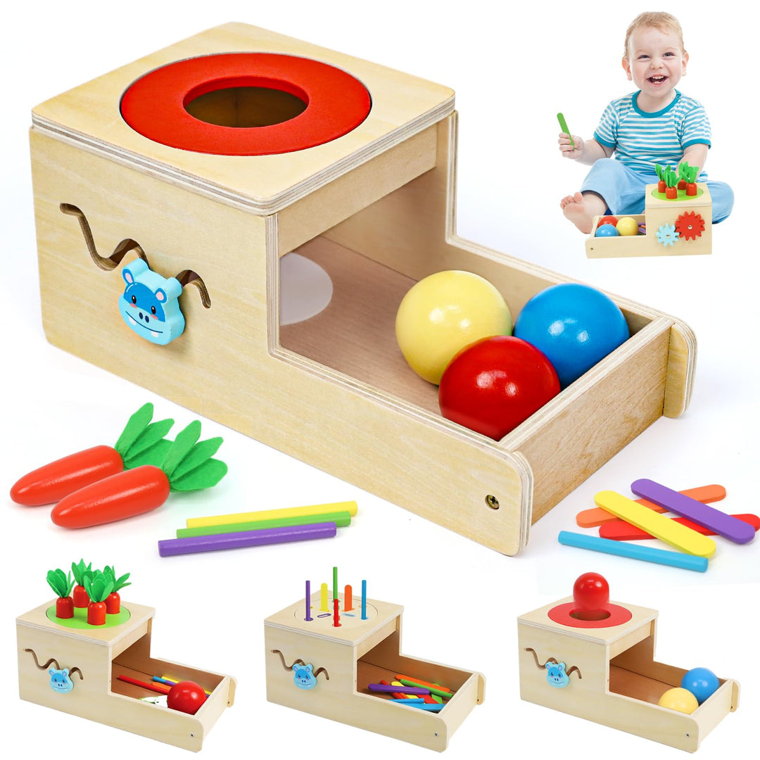 Holzspielzeug ab 1 Jahr, Montessori Spielzeug mit Karotten Baby Steckspiel, Motorik Spielzeug 1 2 3
