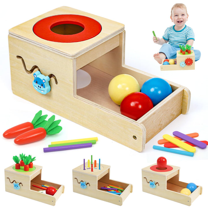 Holzspielzeug ab 1 Jahr, Montessori Spielzeug mit Karotten Baby Steckspiel, Motorik Spielzeug 1 2 3