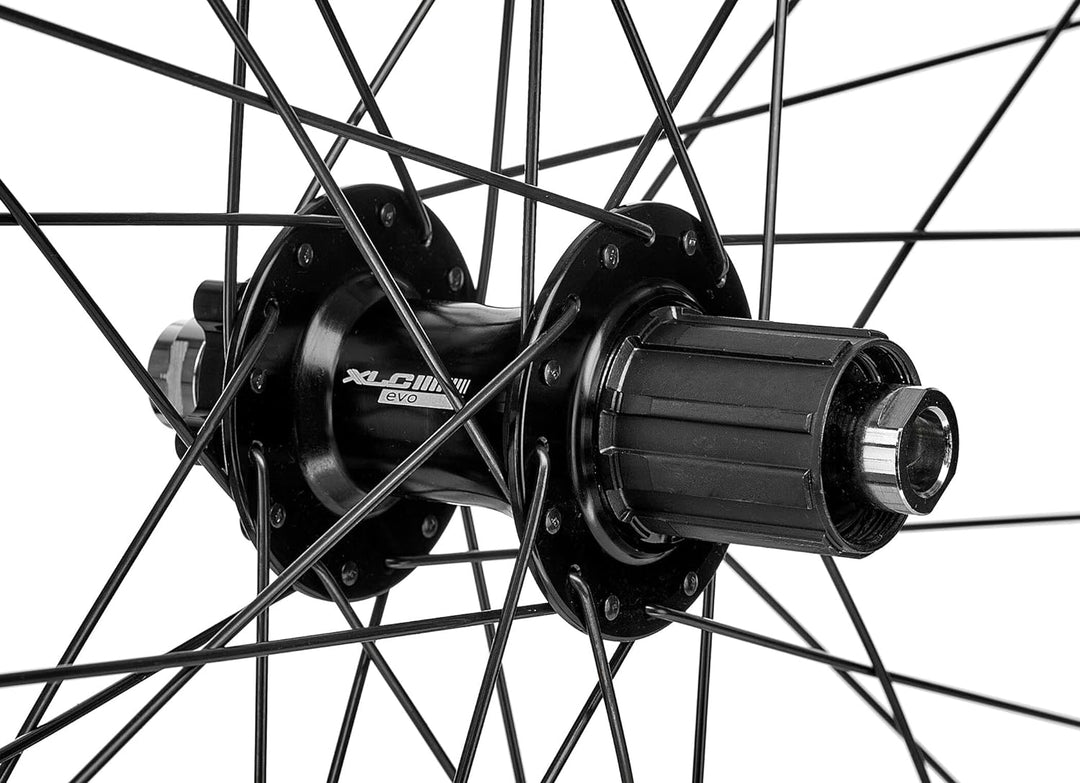 XLC 29? Hinterrad Rodi Black Rock Disc Evo 6-Loch 8-10-fach Schwarz 142 mm, Schwarz 142 mm