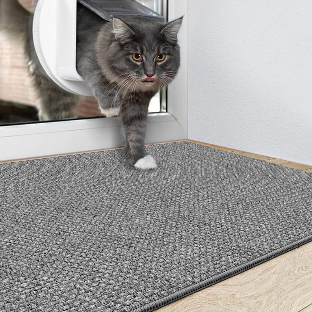 DEXI Fussmatte Innen 60 x 90cm, rutschfest Schmutzfangmatte, waschbar Fussmatte, Dünne Eingangstürma