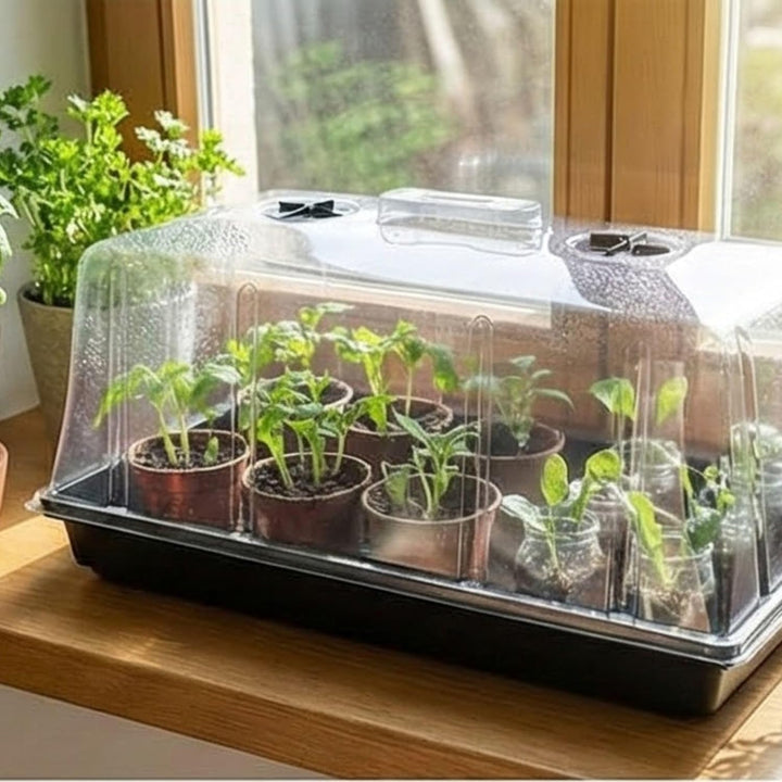 GrowPRO High Dome Zimmergewächshaus, 54x27x25 cm - Anzuchthaus mit verschliessbaren Belüftungslöchen