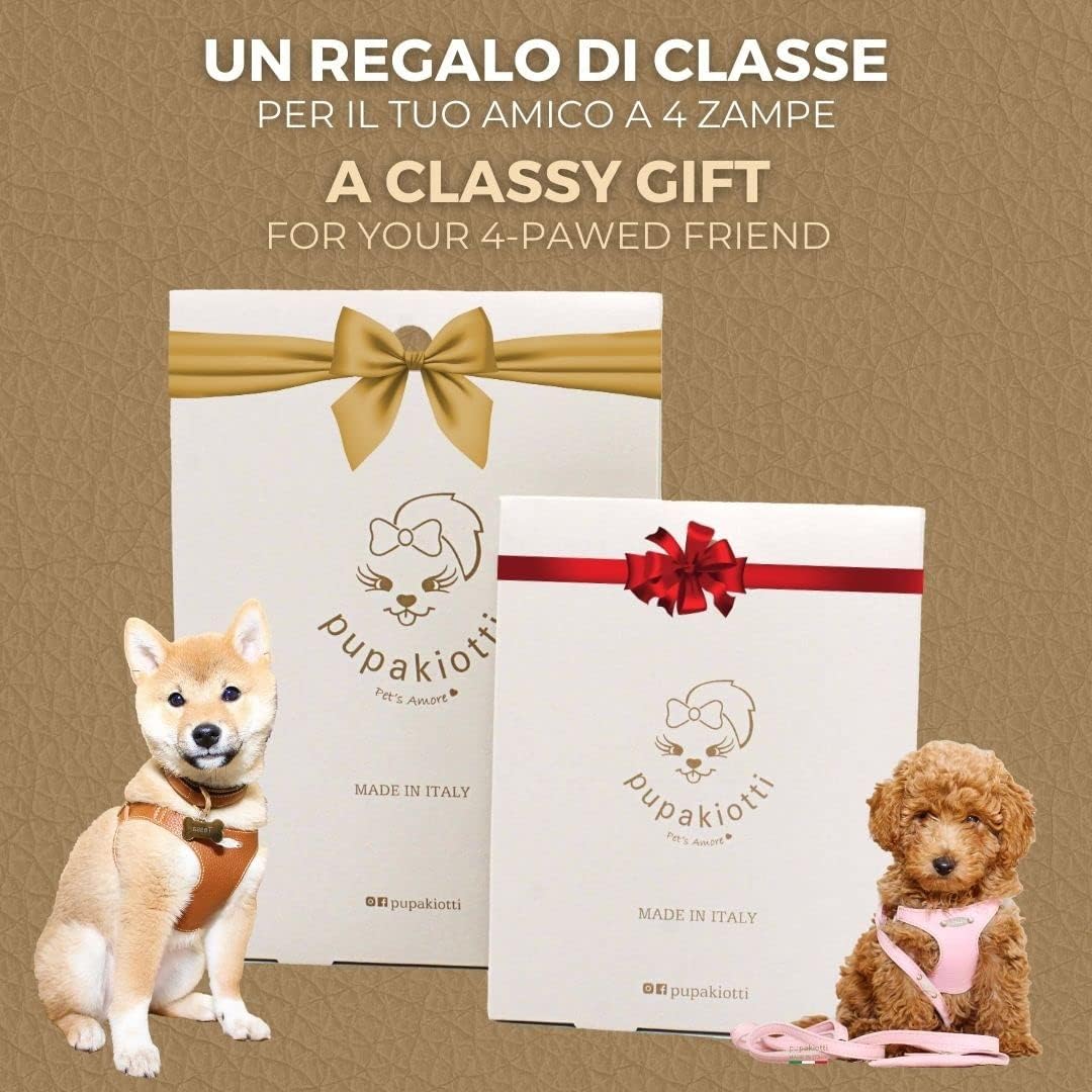 PUPAKIOTTI Basic Hundeleine | Kleine und mittlere Hundeleine | Echtes Leder in Italien | Hundeleine