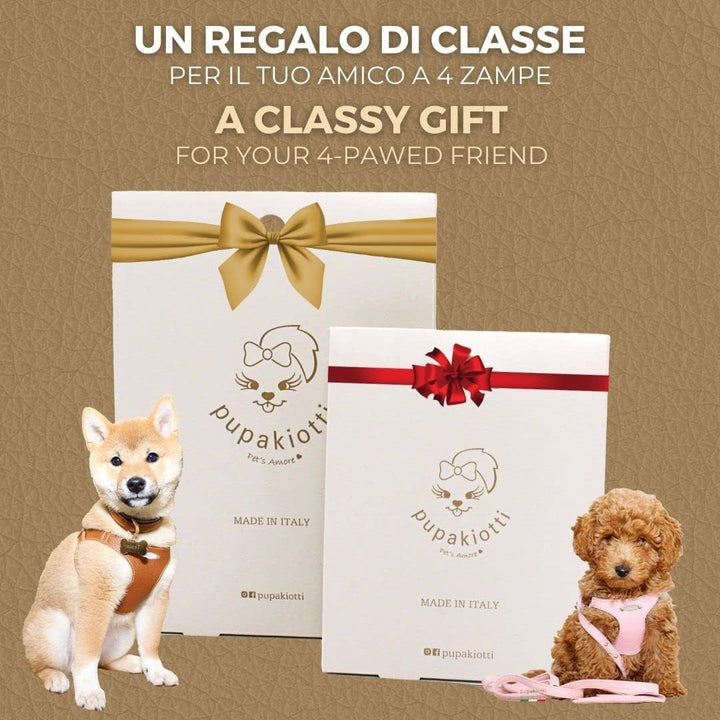 PUPAKIOTTI Basic Hundeleine | Kleine und mittlere Hundeleine | Echtes Leder in Italien | Hundeleine