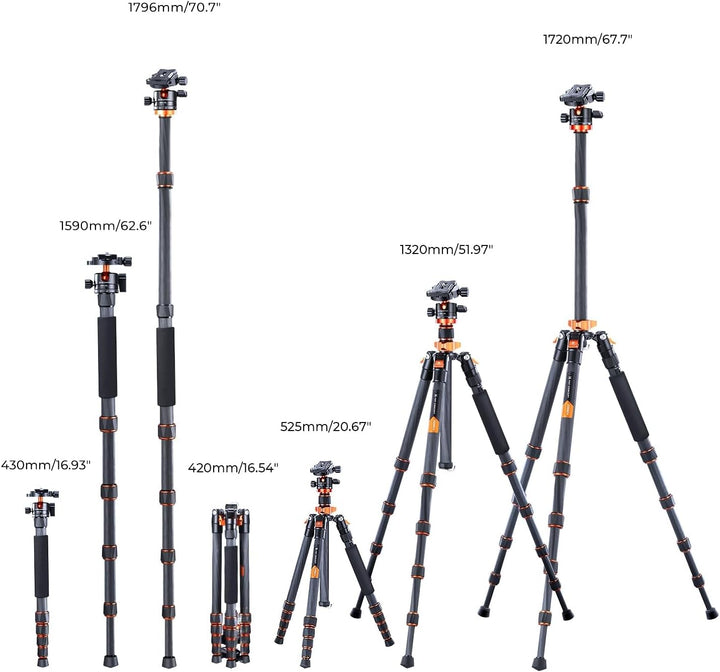 K&amp;F Concept 172cm Carbon Stativ, D255C4(SA255C1) Kompaktes Kamera Handy Stativ, Leichtes Tripod mit