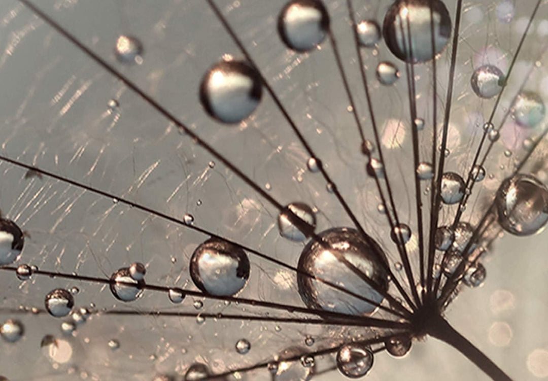 murando Akustikbild Pusteblume 120x80 cm Bilder Akustikschaum Hochleistungsschallabsorber Schallschu