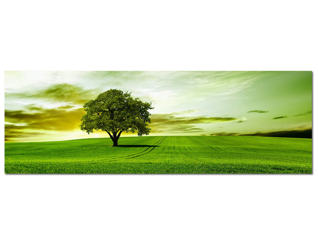 Paul Sinus Art Panoramabild auf Leinwand und Keilrahmen 120x40cm Landschaft Wiese Baum Wolkenschleie