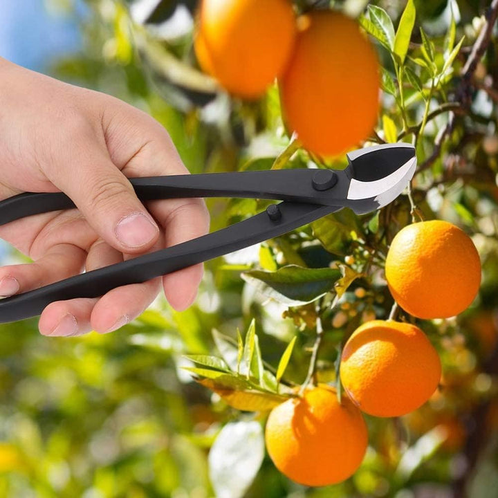 Bonsai Cutter-Zange, Bonsai-Zange, konkav, Manganstahl, Astschneider, schräg, Verbundstahl, Konkav,