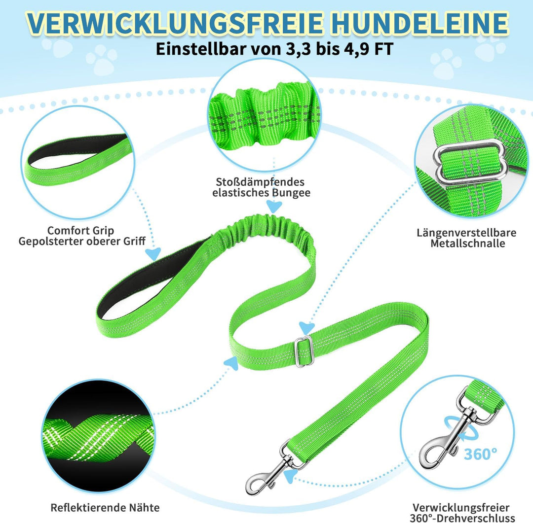 Hundegeschirr mit Leine für mittelgrosse Kleine Hunde, Weich gepolsterter No-Pull Brustgeschirr mit