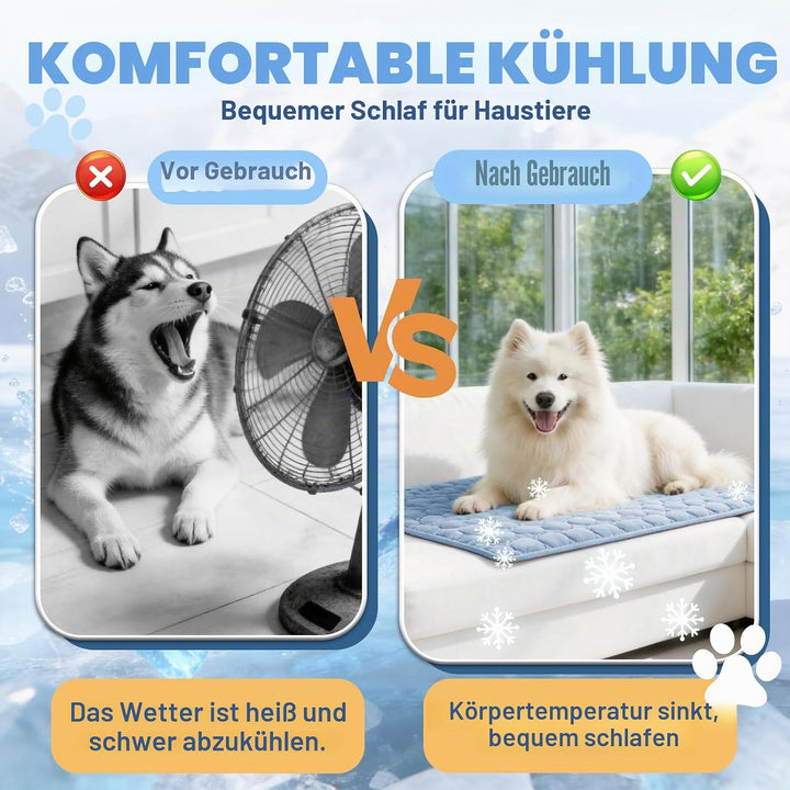 Hunde Kühlmatte, Blau, 70x55cm | Doppelseitiges Material, Gel- und flüssigkeitsfrei, Maschinenwaschb