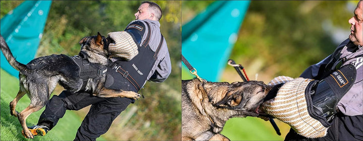 Dingo Gear Schutzarm ''Rocky'' Profilierte Dicker Beisswurst Link Training Hund K9 IGP S00508 Schwar