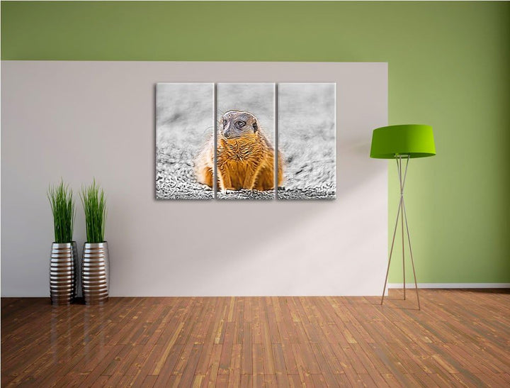 schüchternes Erdmännchen schwarz/weiss Deluxe 3-Teiler Leinwandbild 120x80 Bild auf Leinwand, XXL ri