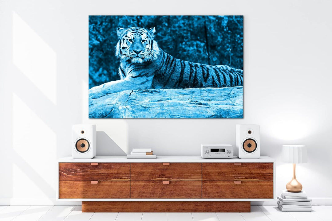 deyoli anmutiger ruhiger Tiger Format 80x60 Effekt: Monocrome Blau als Leinwandbild, Motiv fertig ge