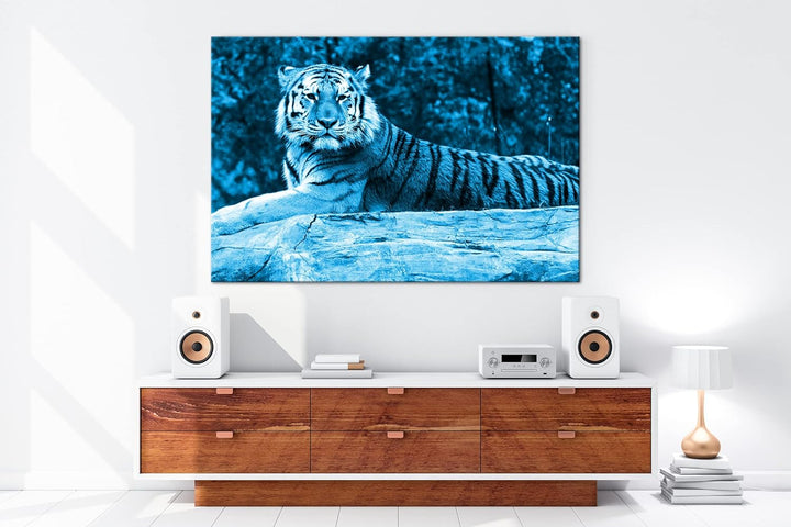 deyoli anmutiger ruhiger Tiger Format 80x60 Effekt: Monocrome Blau als Leinwandbild, Motiv fertig ge