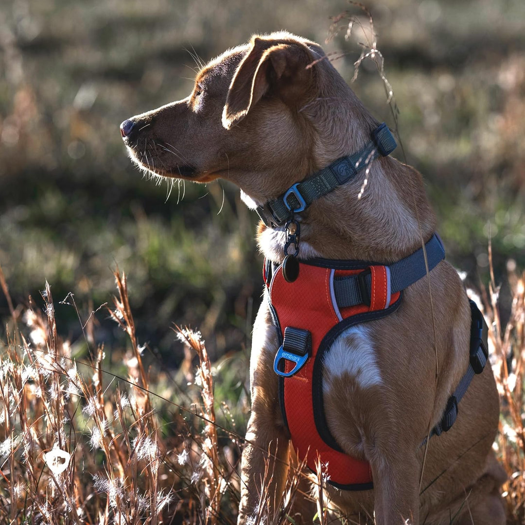 Embark Adventure Hundegeschirr, Einfaches An- und Ablegen mit Leinenbefestigung Vorne und Hinten & K